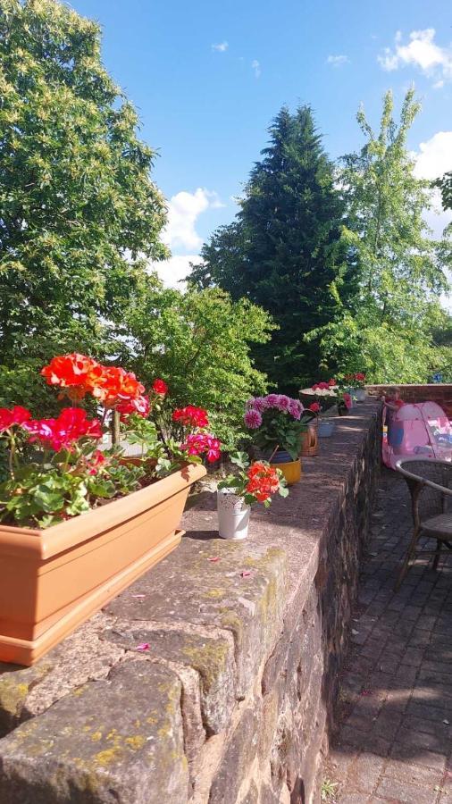 Privat Appartment Fockelberg Exterior foto